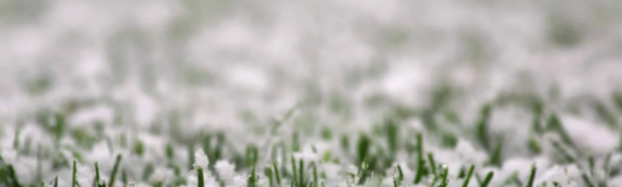 ▷5 Tips To Deal With The Slippery Icy Artificial Grass In Winter Oceanside